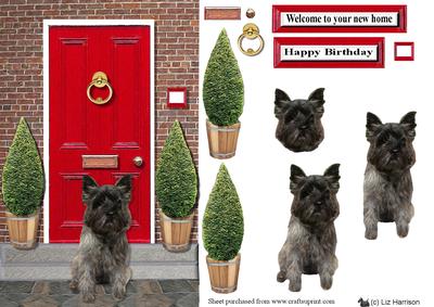 Cairn Terrier ,dark, Red Door