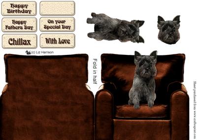 Cairn Terrier , Dark, in an Arm Chair