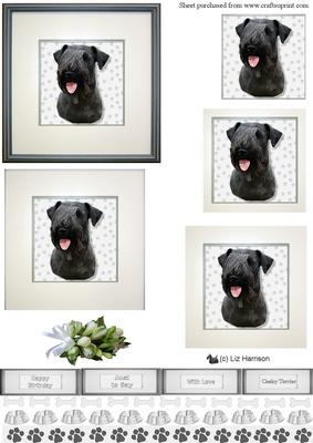 Cesky Terrier Portrait Pyramid