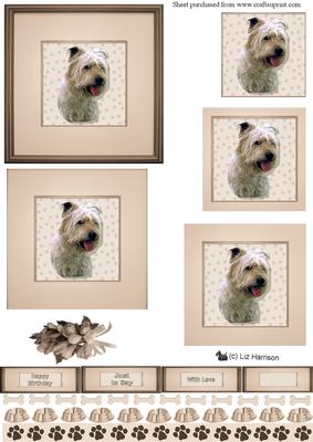 Glen of Imaal Terrier Portrait Pyramid