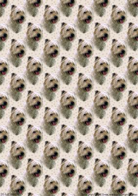 Glen of Imaal Terrier Portrait Background
