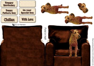 Irish Terrier in an Arm Chair