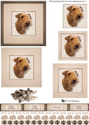 Lakeland Terrier Portrait Pyramid