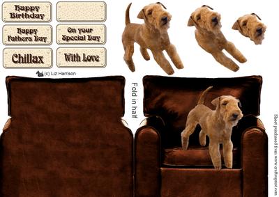 Lakeland Terrier in an Arm Chair