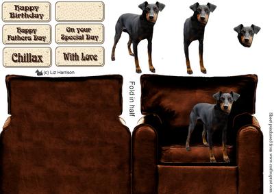 Manchester Terrier in an Arm Chair