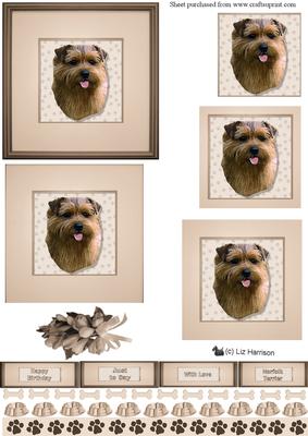 Norfolk Terrier Portrait Pyramid