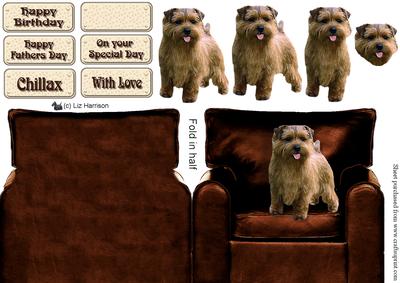 Norfolk Terrier in an Arm Chair