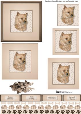 Norwich Terrier Portrait Pyramid