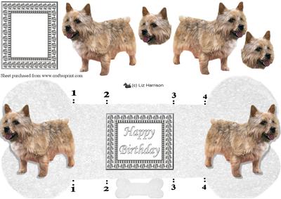 Norwich Terrier Bone Shaped Card