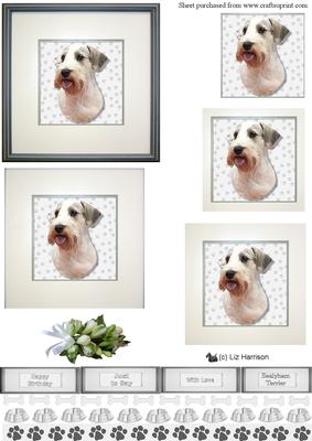 Sealyham Terrier Portrait Pyramid
