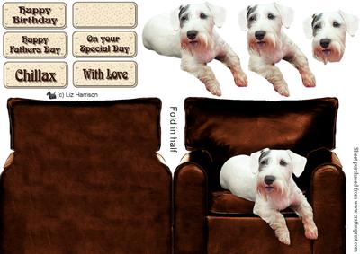 Sealyham Terrier in an Arm Chair