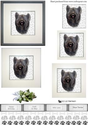 Skye Terrier Portrait Pyramid
