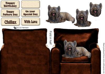 Skye Terrier in an Arm Chair