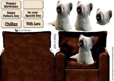 Skye Terrier in an Arm Chair