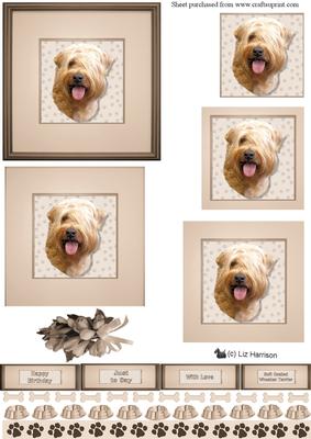 Soft Coated Wheaten Terrier Portrait Pyramid