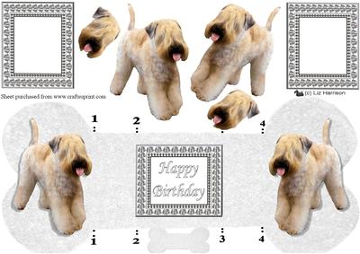 Soft Coated Wheaten Terrier Bone Shaped Card