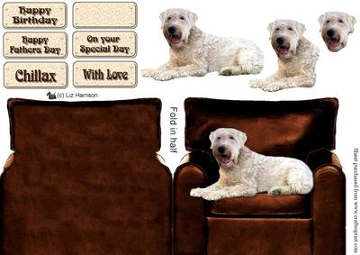 Soft Coaten Wheaten Terrier in an Arm Chair
