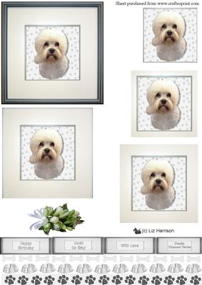 Dandie Dinmont Terrier Portrait Pyramid