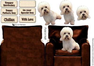 Dandie Dinmont in an Arm Chair