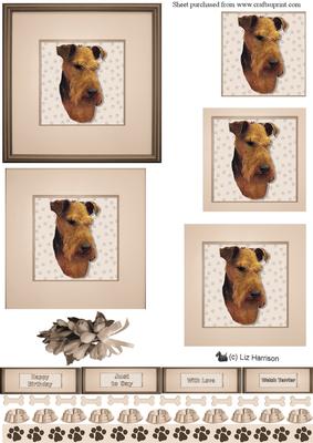 Welsh Terrier Portrait Pyramid