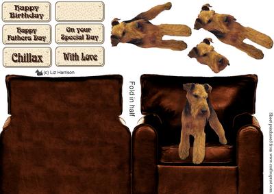 Welsh Terrier in an Arm Chair