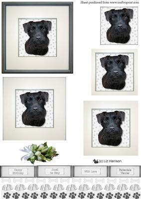 Patterdale Terrier Portrait Pyramid