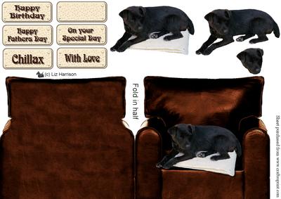 Patterdale Terrier in an Arm Chair