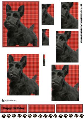 Scottish Terrier Puppy Pyramid