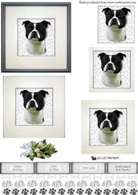 Staffordshire Bull Terrier,black & White Portrait Pyramid