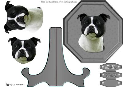 Stafordshire Bull Terrier ,black & White,plaque