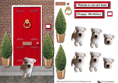 Westie Puppy with a Red Door