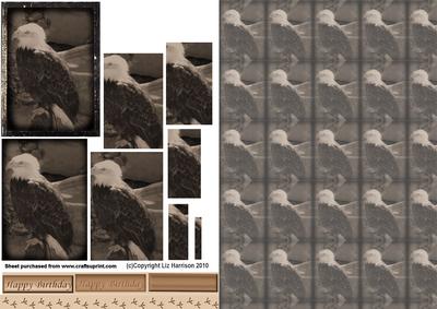 Bald Eagle Vintage Style Pyramid with Background