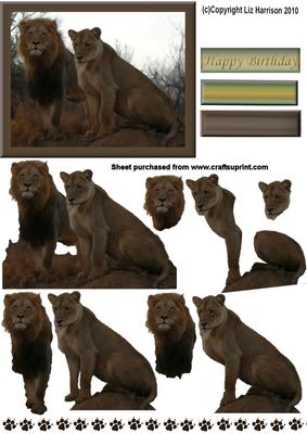 Lion & Lioness 3D Decoupage