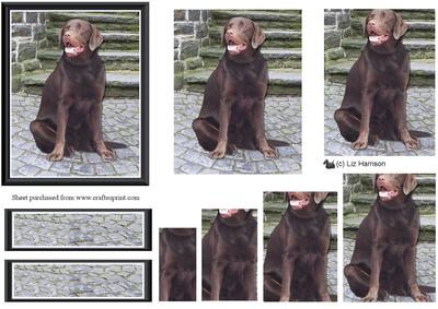 Chocolate Labrador Scene Pyramid