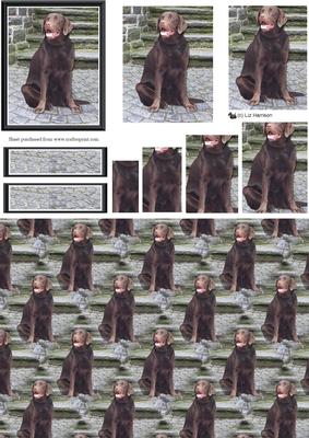 Chocolate Labrador Scene Pyramid & Background