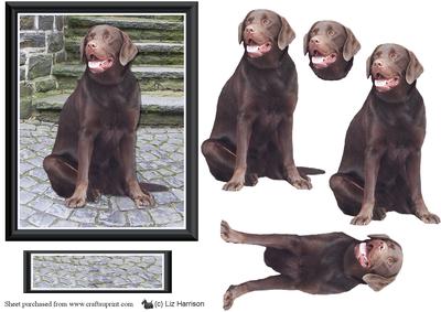 Chocalate Labrador Scene 3D Decoupage
