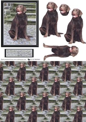 Chocolate Labrador Scene 3D Decoupage & Background