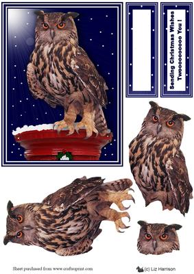 Eagle Owl Christmas Post Box 3D Decoupage