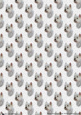 West Highland White Terrier 3 Portrait Background