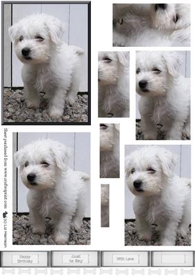 Westie Puppy Scene Pyramid