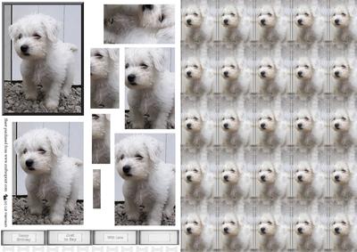 Westie Puppy Scene Pyramid & Background