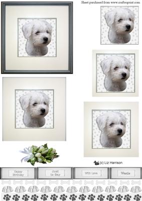 Westie Puppy Portrait Pyramid