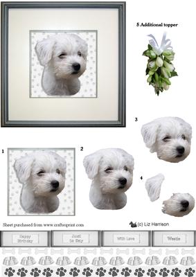 Westie Puppy Portrait 3D Decoupage