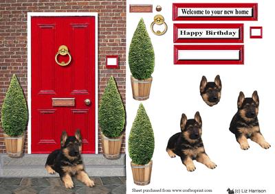 German Shepherd Puppy Red Door Scene