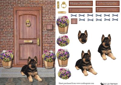 German Shepherd Puppy on a Door Step