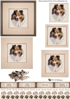 Shetland Sheepdog Portrait Pyramid