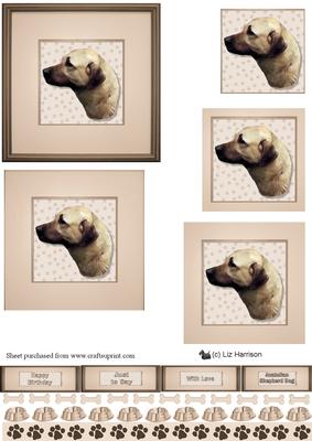 Anatolian Shepherd Dog Portrait Pyramid