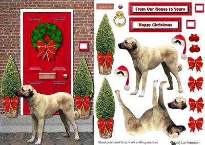 Anatolian Shepherd Dog Christmas Dooor Scene