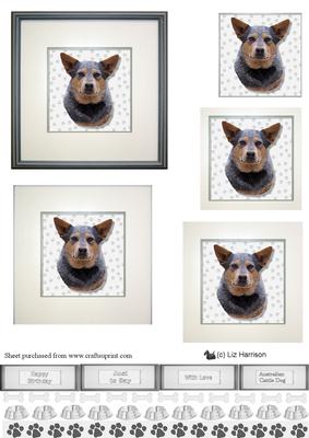Australian Cattle Dog Portrait Pyramid