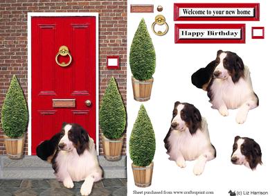 Australian Shepherd Dog Red Door Step Scene